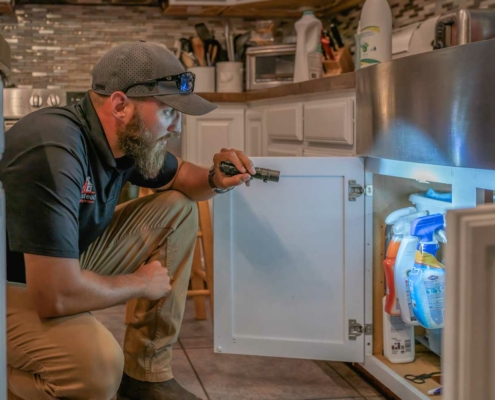 Homestead Property Inspection---checking-under-sink