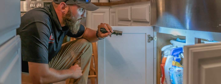 Homestead Property Inspection---checking-under-sink